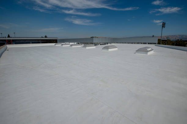 Best Green or Eco-Friendly Roofing Solutions  in Milam, TX
