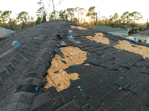 Reliable Milam, TX Roofing Service Solutions